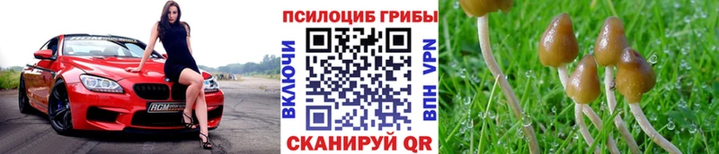 mega tor darknet телеграм Псилоцибиновые грибы ЛСД Бугульма